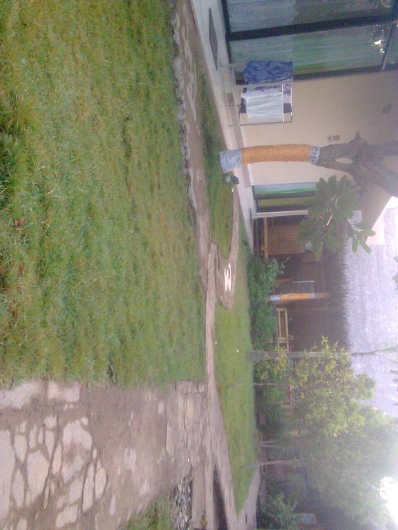 Baleku Homestay Trawangan 吉利特拉旺安 外观 照片