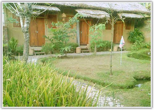 Baleku Homestay Trawangan 吉利特拉旺安 外观 照片